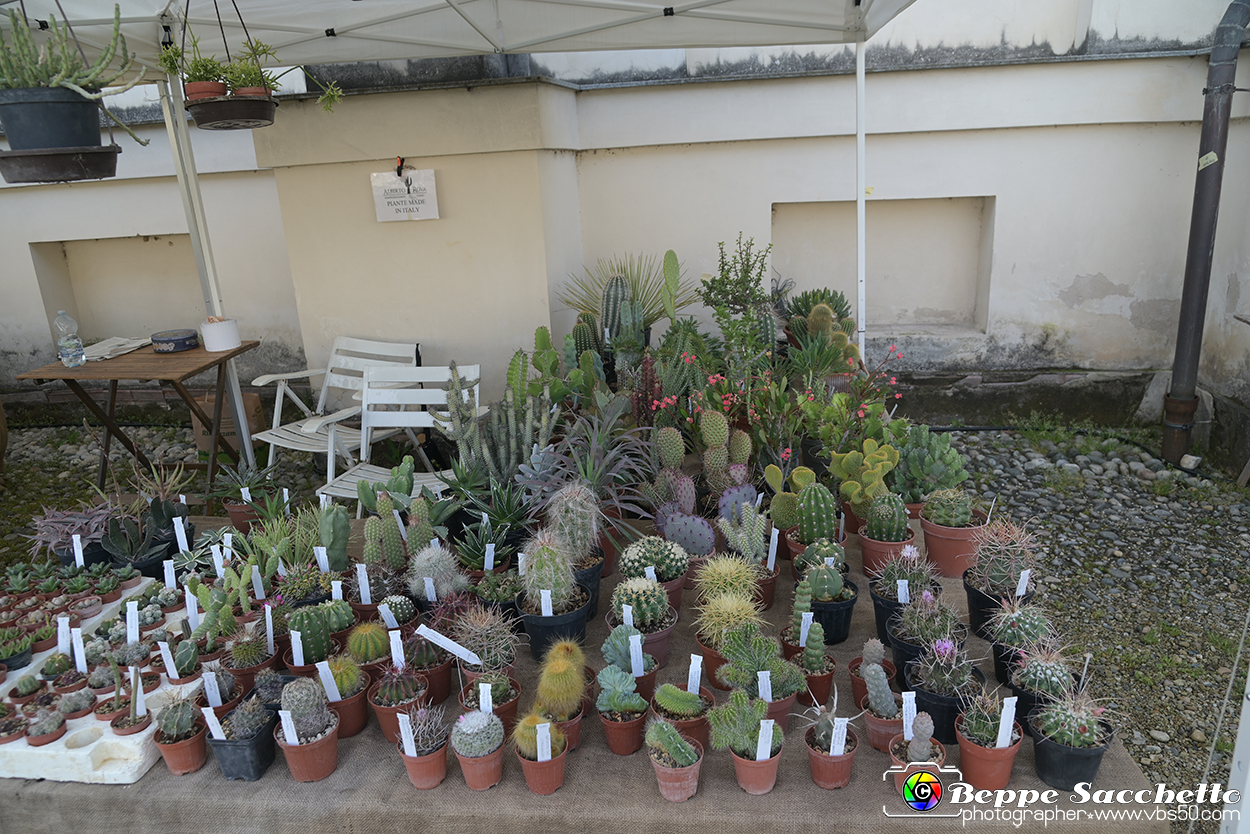 VBS_9012 - Mostra Mercato FloReal 2024.jpg